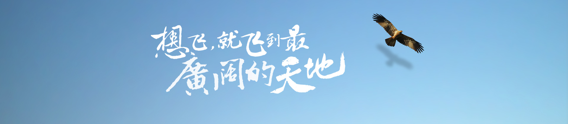 201805231450105010